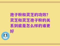 孢子粉和灵芝的功效？灵芝和灵芝孢子粉的关系到底是怎么样的谁更好