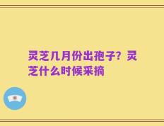 灵芝几月份出孢子？灵芝什么时候采摘