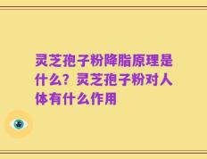 灵芝孢子粉降脂原理是什么？灵芝孢子粉对人体有什么作用