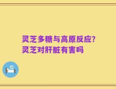 灵芝多糖与高原反应？灵芝对肝脏有害吗