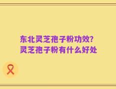 东北灵芝孢子粉功效？灵芝孢子粉有什么好处