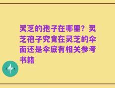 灵芝的孢子在哪里？灵芝孢子究竟在灵芝的伞面还是伞底有相关参考书籍
