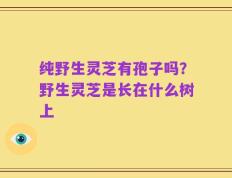 纯野生灵芝有孢子吗？野生灵芝是长在什么树上