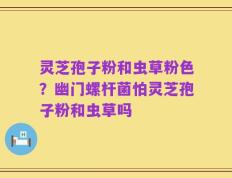 灵芝孢子粉和虫草粉色？幽门螺杆菌怕灵芝孢子粉和虫草吗