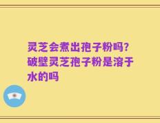 灵芝会煮出孢子粉吗？破壁灵芝孢子粉是溶于水的吗