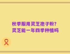 秋季服用灵芝孢子粉？灵芝能一年四季种植吗