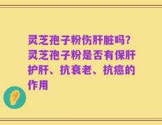 灵芝孢子粉伤肝脏吗？灵芝孢子粉是否有保肝护肝、抗衰老、抗癌的作用