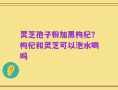 灵芝孢子粉加黑枸杞？枸杞和灵芝可以泡水喝吗