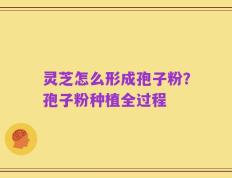 灵芝怎么形成孢子粉？孢子粉种植全过程