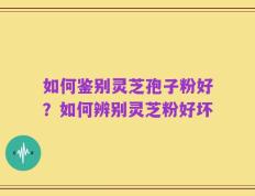 如何鉴别灵芝孢子粉好？如何辨别灵芝粉好坏