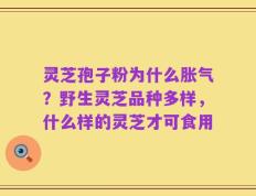 灵芝孢子粉为什么胀气？野生灵芝品种多样，什么样的灵芝才可食用