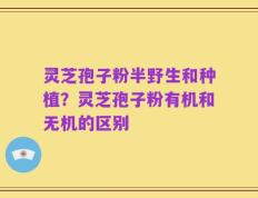 灵芝孢子粉半野生和种植？灵芝孢子粉有机和无机的区别