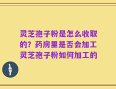 灵芝孢子粉是怎么收取的？药房里是否会加工灵芝孢子粉如何加工的