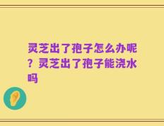 灵芝出了孢子怎么办呢？灵芝出了孢子能浇水吗