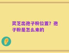 灵芝出孢子粉位置？孢子粉是怎么来的