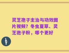 灵芝孢子主治与功效图片视频？冬虫夏草、灵芝孢子粉，哪个更好