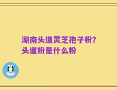 湖南头道灵芝孢子粉？头道粉是什么粉