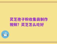 灵芝孢子粉收集袋制作视频？灵芝怎么吃好