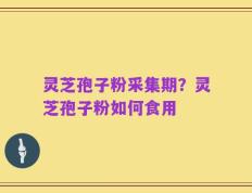 灵芝孢子粉采集期？灵芝孢子粉如何食用