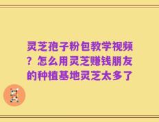 灵芝孢子粉包教学视频？怎么用灵芝赚钱朋友的种植基地灵芝太多了