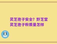 灵芝孢子安全？野芝堂灵芝孢子粉质量怎样