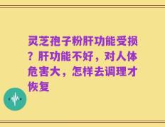灵芝孢子粉肝功能受损？肝功能不好，对人体危害大，怎样去调理才恢复