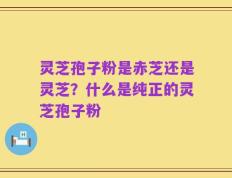 灵芝孢子粉是赤芝还是灵芝？什么是纯正的灵芝孢子粉