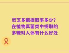 灵芝多糖提取率多少？在植物真菌类中提取的多糖对人体有什么好处