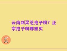 云南到灵芝孢子粉？正宗孢子粉哪里买