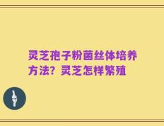 灵芝孢子粉菌丝体培养方法？灵芝怎样繁殖