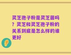 灵芝孢子粉是灵芝菌吗？灵芝和灵芝孢子粉的关系到底是怎么样的谁更好