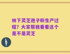 林下灵芝孢子粉生产过程？大家帮我看看这个是不是灵芝
