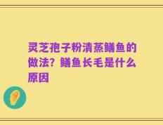 灵芝孢子粉清蒸鳝鱼的做法？鳝鱼长毛是什么原因