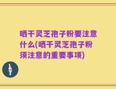 晒干灵芝孢子粉要注意什么(晒干灵芝孢子粉须注意的重要事项)