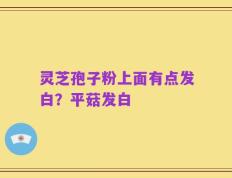 灵芝孢子粉上面有点发白？平菇发白
