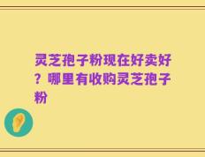 灵芝孢子粉现在好卖好？哪里有收购灵芝孢子粉