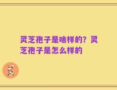 灵芝孢子是啥样的？灵芝孢子是怎么样的