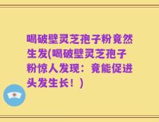 喝破壁灵芝孢子粉竟然生发(喝破壁灵芝孢子粉惊人发现：竟能促进头发生长！)