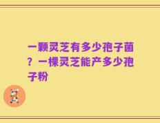 一颗灵芝有多少孢子菌？一棵灵芝能产多少孢子粉