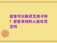 感冒可以服灵芝孢子粉？感冒发烧的人能吃灵芝吗