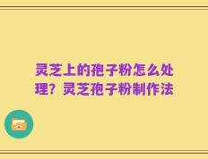 灵芝上的孢子粉怎么处理？灵芝孢子粉制作法