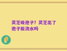 灵芝吸孢子？灵芝出了孢子能浇水吗