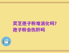 灵芝孢子粉难消化吗？孢子粉会伤肝吗