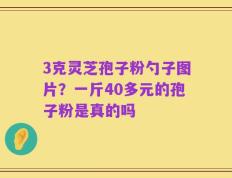 3克灵芝孢子粉勺子图片？一斤40多元的孢子粉是真的吗