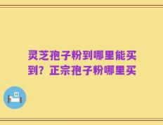 灵芝孢子粉到哪里能买到？正宗孢子粉哪里买