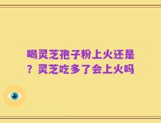 喝灵芝孢子粉上火还是？灵芝吃多了会上火吗