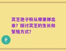 灵芝孢子粉从哪里弹出来？探讨灵芝的生长和繁殖方式？