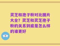 灵芝和孢子粉对比图片大全？灵芝和灵芝孢子粉的关系到底是怎么样的谁更好