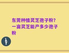 东莞种植灵芝孢子粉？一亩灵芝能产多少孢子粉