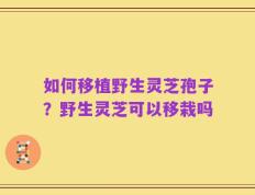 如何移植野生灵芝孢子？野生灵芝可以移栽吗